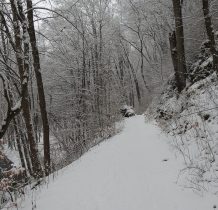 zimowa sceneria