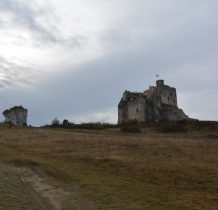 zamek w Mirowie