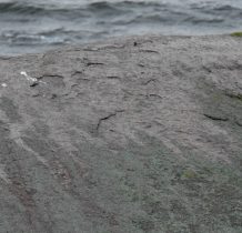 Wyspa Crzaszczewska-kamień wykorzystywano do celów budowlanych