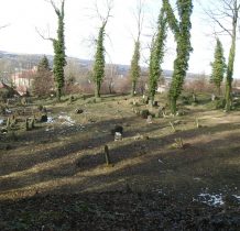 Cieszyn-na terenie cmentarza jest ok.1500 nagrobków