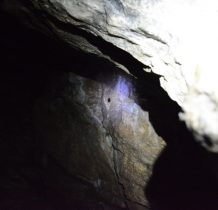 w jaskini