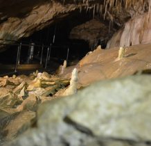 stalagmity