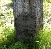 pod drzewem tablica nagrobna Karoliny Dinter 1904(?) z rodziny właściciela pobliskiego Wolnego Sędziostwa i Leśniczego Królewskiego Josefa Dintera