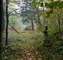 cmentarz w gąszczu krzaków i drzew